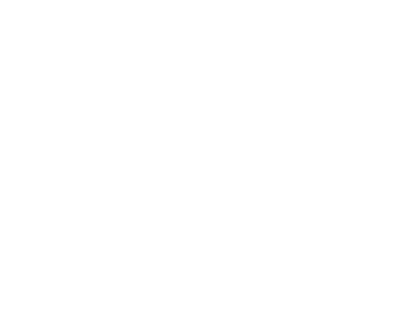 CDiamond Outfitters